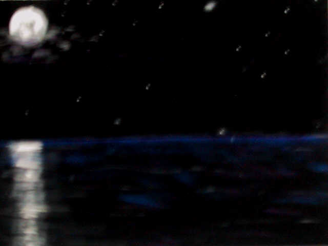 Mondlicht im Meer - Ernst Gierer - Pastell auf schwarzem Velours